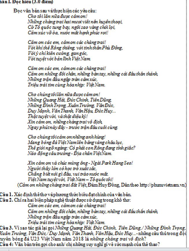 Đề Ngữ văn lớp 12 năm học 2017 - 2018, trường THPT Trịnh Hoài Đức - Bình Dương