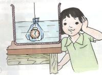 Giải bài tập SGK Khoa học 5