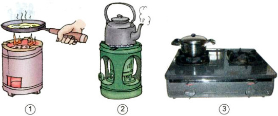 Giải SGK Khoa học 5