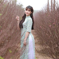 Giáo án Công nghệ 8 bài 16: Bài thực hành - Đọc bản vẽ nhà đơn giản