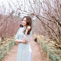 Giáo án Công nghệ 8 bài 19: Thực hành: Vật liệu cơ khí