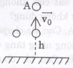 Giải bài tập SBT Vật lý lớp 8 bài 17: Sự chuyển hóa và bảo toàn cơ năng