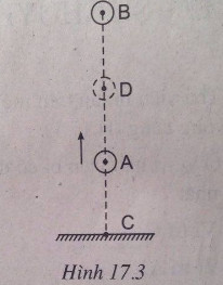 Giải bài tập SBT Vật lý lớp 8 bài 17: Sự chuyển hóa và bảo toàn cơ năng