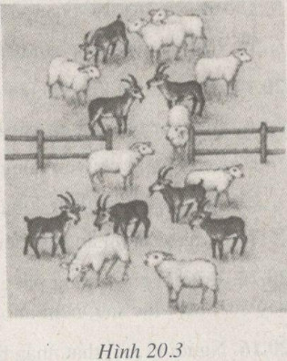 Giải bài tập SBT Vật lý lớp 8 bài 20: Nguyên tử, phân tử chuyển động hay đứng yên?