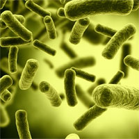 Trắc nghiệm Sinh học 10 bài 22: Dinh dưỡng, chuyển hóa vật chất và năng lượng ở vi sinh vật