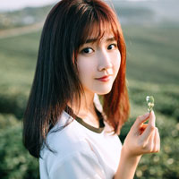 Soạn Văn 6: Danh từ (tiếp theo)