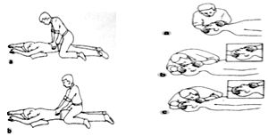 Giáo án Công nghệ 8 bài 35: Thực hành: Cứu người bị tai nạn điện