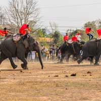 Chính tả lớp 2: Nghe - viết: Ngày hội đua voi ở Tây Nguyên