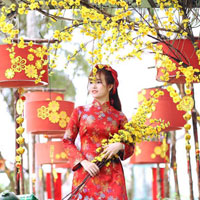 Giải SBT Vật lý 8 bài 10: Lực đẩy Ác-si-mét