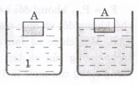 Giải bài tập SBT Vật lý lớp 8 bài 12: Sự nổi