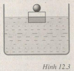 Giải bài tập SBT Vật lý lớp 8 bài 12: Sự nổi