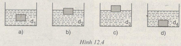 Giải bài tập SBT Vật lý lớp 8 bài 12: Sự nổi