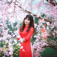 Giáo án Công nghệ 8: Kiểm tra học kì 1