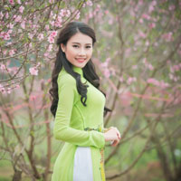 Giáo án Công nghệ 8: Tổng kết và ôn tập phần cơ khí