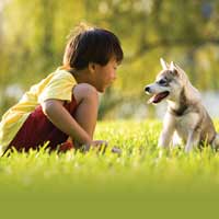 Giải bài tập SGK Khoa học 4 bài 44: Âm thanh trong cuộc sống (tiếp theo)