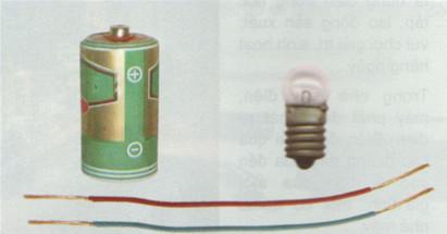 Giải SGK Khoa học 5 tập 2