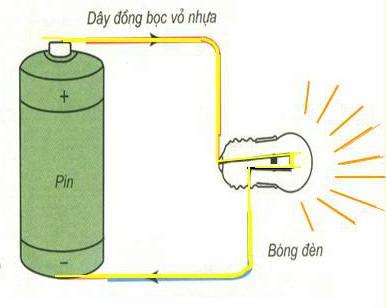 Giải SGK Khoa học 5 tập 2
