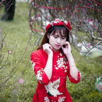 Giáo án Công nghệ 8 bài 43: Thực hành: Bàn là điện, bếp điện, nồi cơm điện