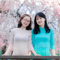 Giáo án Công nghệ 10 bài 4: Sản xuất giống cây trồng (Tiếp theo)