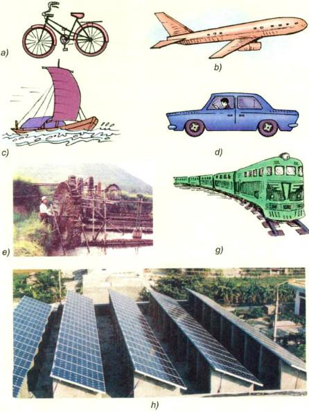 Giải bài tập Khoa học lớp 5