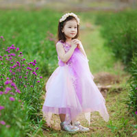 Giáo án Công nghệ 10 bài 15: Điều kiện phát sinh, phát triển của sâu, bệnh hại cây trồng