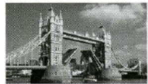 Đề thi vòng 1 English Champion 2017 