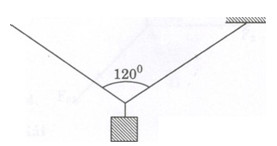 Giải bài tập SBT Vật lý lớp 8 bài 4: Biểu diễn lực