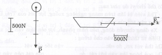 Giải bài tập SBT Vật lý lớp 8 bài 4: Biểu diễn lực