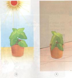 Giải SGK Khoa học 4