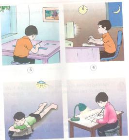 Giải bài tập Sgk Khoa học 4