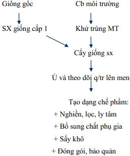Giáo án Công nghệ 10 bài 20: Ứng dụng công nghệ vi sinh sản xuất chế phẩm bảo vệ thực vật
