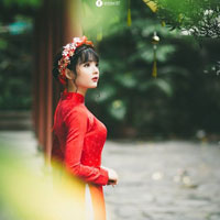 Giáo án Công nghệ 10: Ôn tập học kì 1