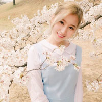 Đề kiểm tra 15 phút học kì 2 môn Vật lý lớp 8 - Đề số 8