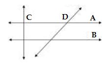 Đề thi English Champion 2017 