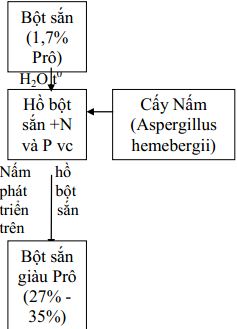 Giáo án Công nghệ 10 bài 33: Ứng dụng công nghệ vi sinh để sản xuất thức ăn chăn nuôi