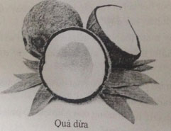 Đề kiểm tra Sinh học 6