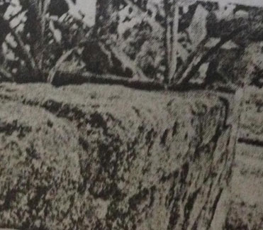 Đề kiểm tra Sinh 6