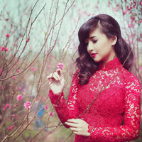 Giáo án Công nghệ 10 bài 51: Lựa chọn lĩnh vực kinh doanh