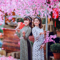 Giáo án Công nghệ 10 bài 52: Thực hành - Lựa chọn cơ hội kinh doanh