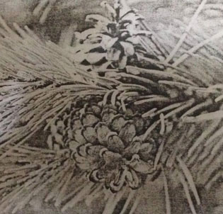 Đề kiểm tra Sinh học 6