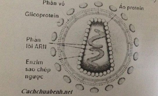 Đề kiểm tra Sinh học 6
