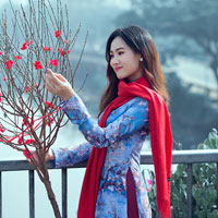 Giáo án Công nghệ 11 bài 3: Thực hành - Vẽ các hình chiếu của vật thể đơn giản