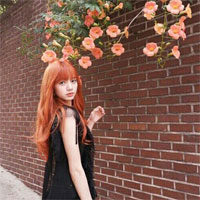 Giáo án Tiếng Anh lớp 11 Unit 8: Celebrations - Lesson 5