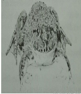 Đề kiểm tra Sinh học 7