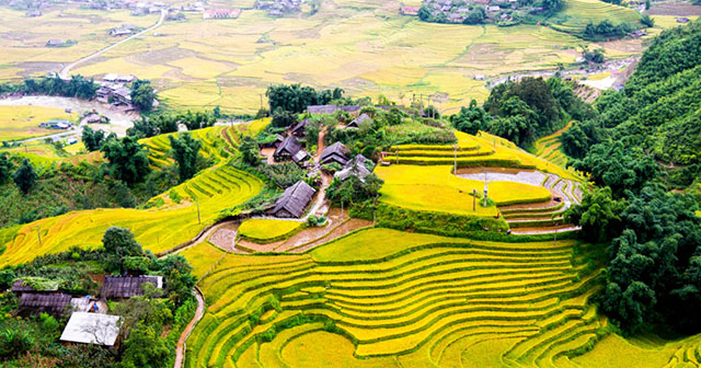 Tục ngữ về thiên nhiên và lao động sản xuất