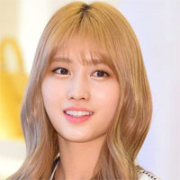 Giáo án Tiếng Anh lớp 11 Unit 11: Sources of energy - Lesson 2