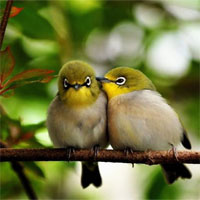 Đề kiểm tra 15 phút học kì 2 môn Sinh học lớp 7 - Đề số 4