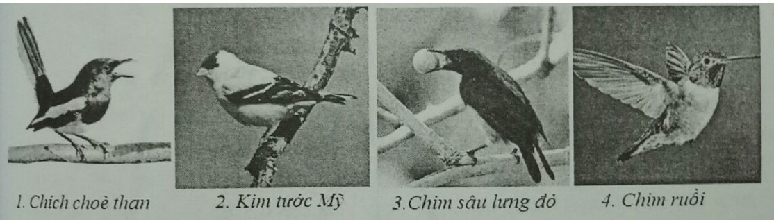 Đề kiểm tra Sinh học 7