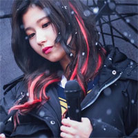 Giáo án Tiếng Anh lớp 11 Unit 13: Hobbies - Lesson 4