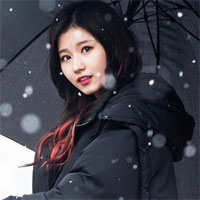 Giáo án Tiếng Anh lớp 11 Unit 13: Hobbies - Lesson 5